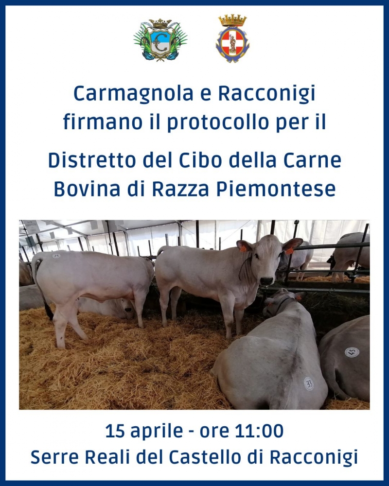 Distretto del Cibo della Carne Bovina di Razza Piemontese