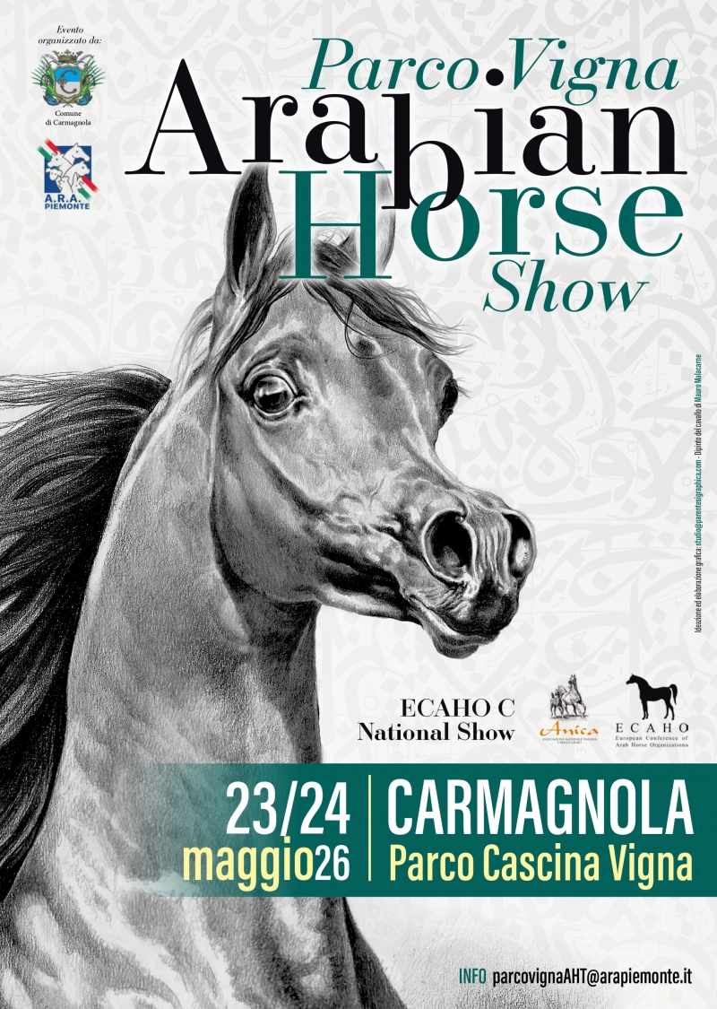 Arabian horse show 2026